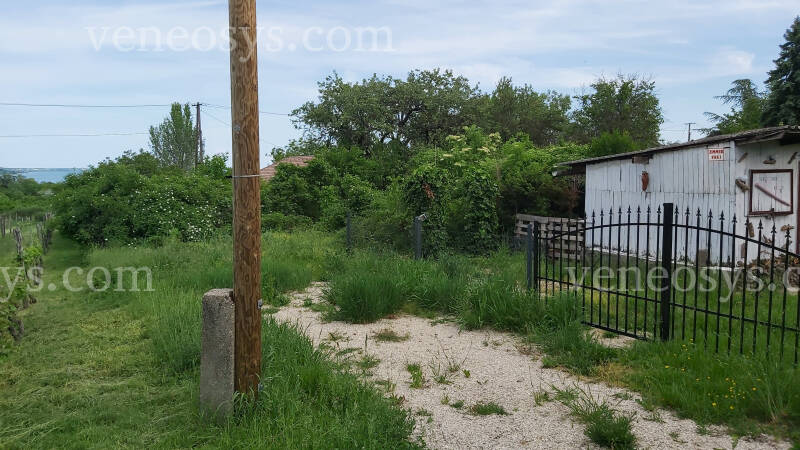 Kép 4
