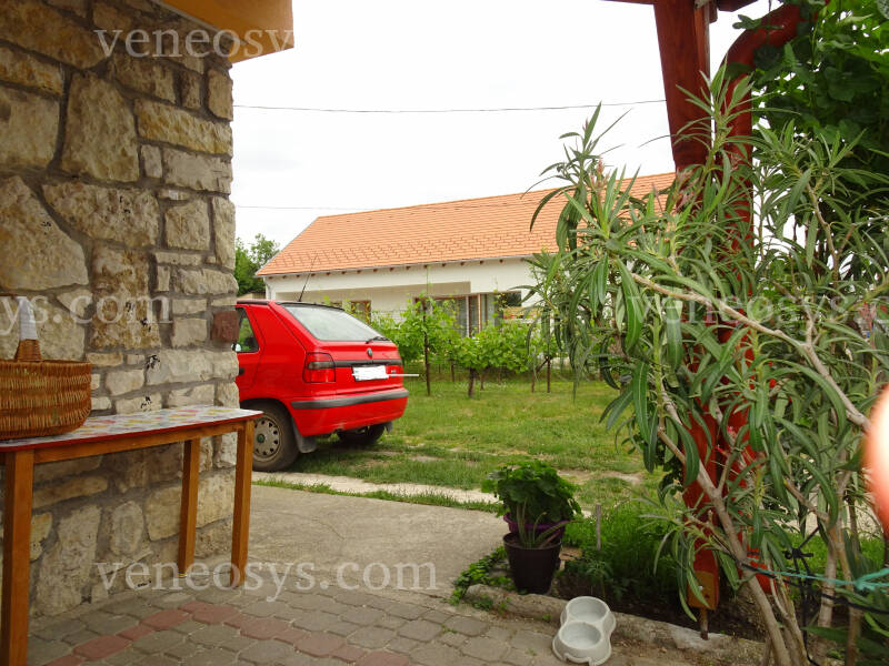 Kép 5