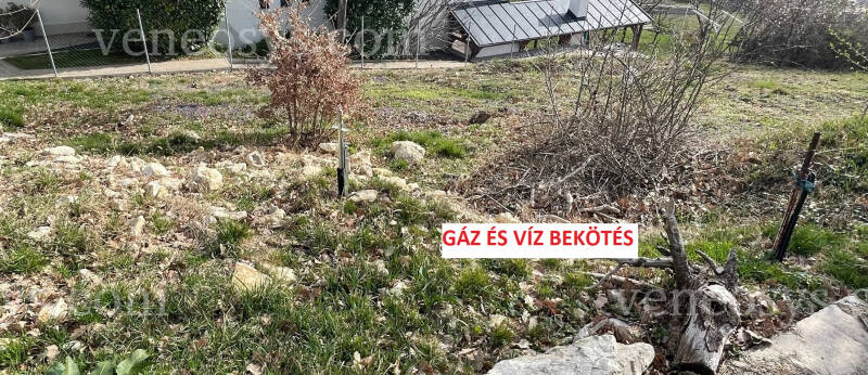 Kép 10