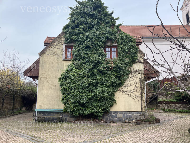 Kép 23