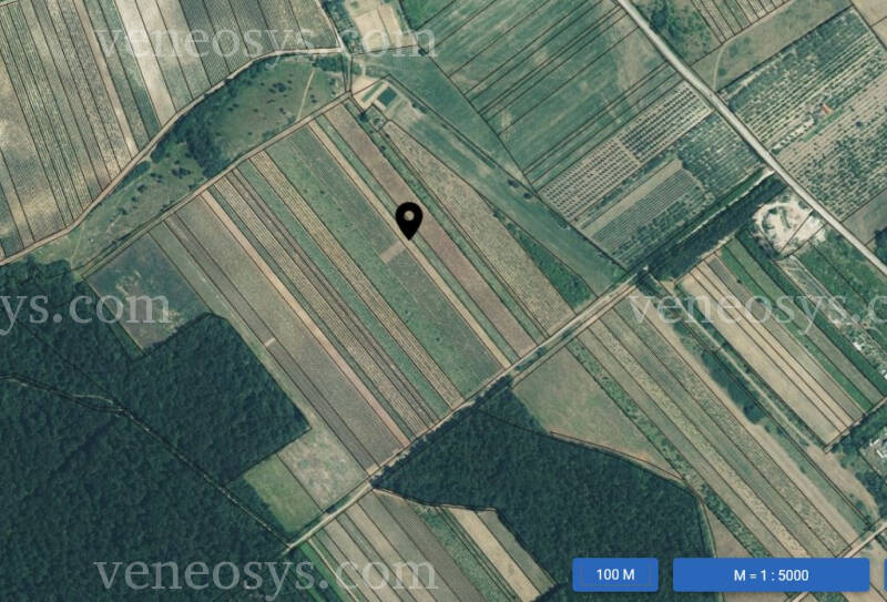 Kép 5