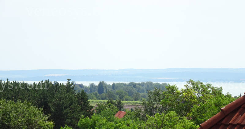Kép 2