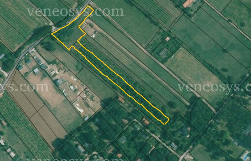 Kép 3