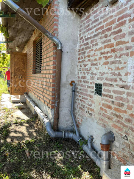 Kép 13