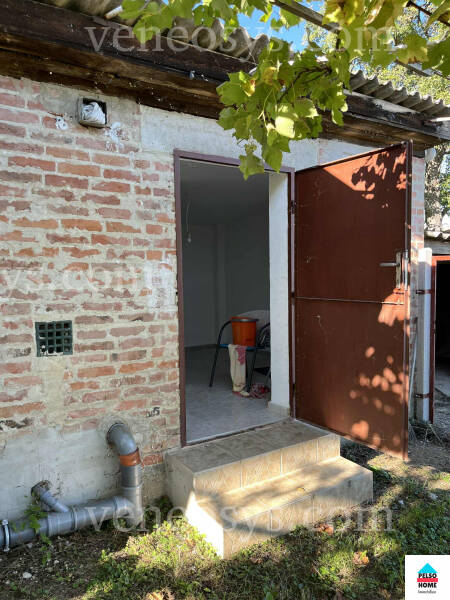 Kép 14