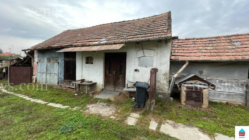 Kép 12