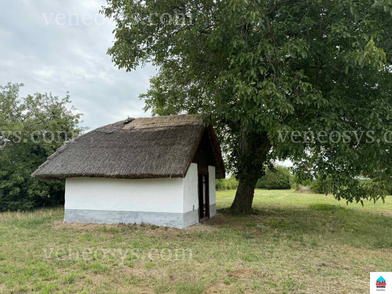 Kép 15