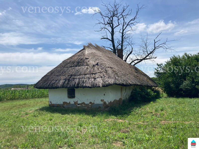 Kép 9