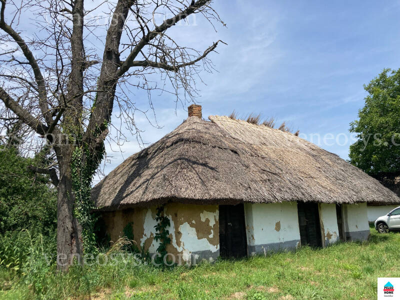 Kép 6