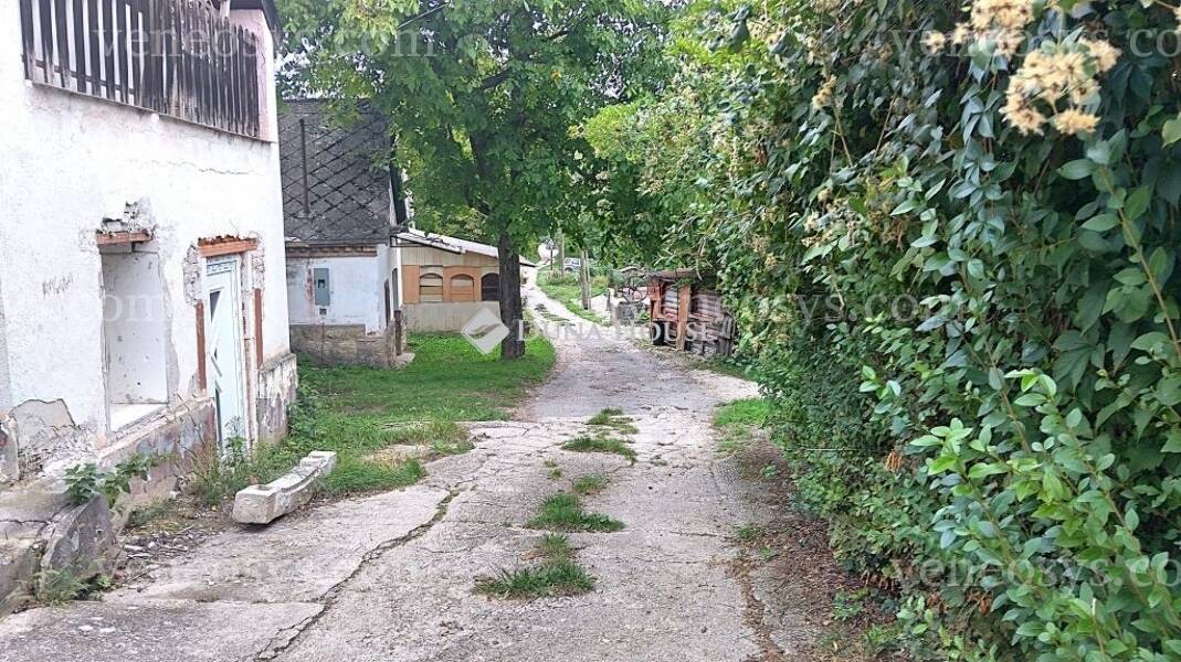Kép 13