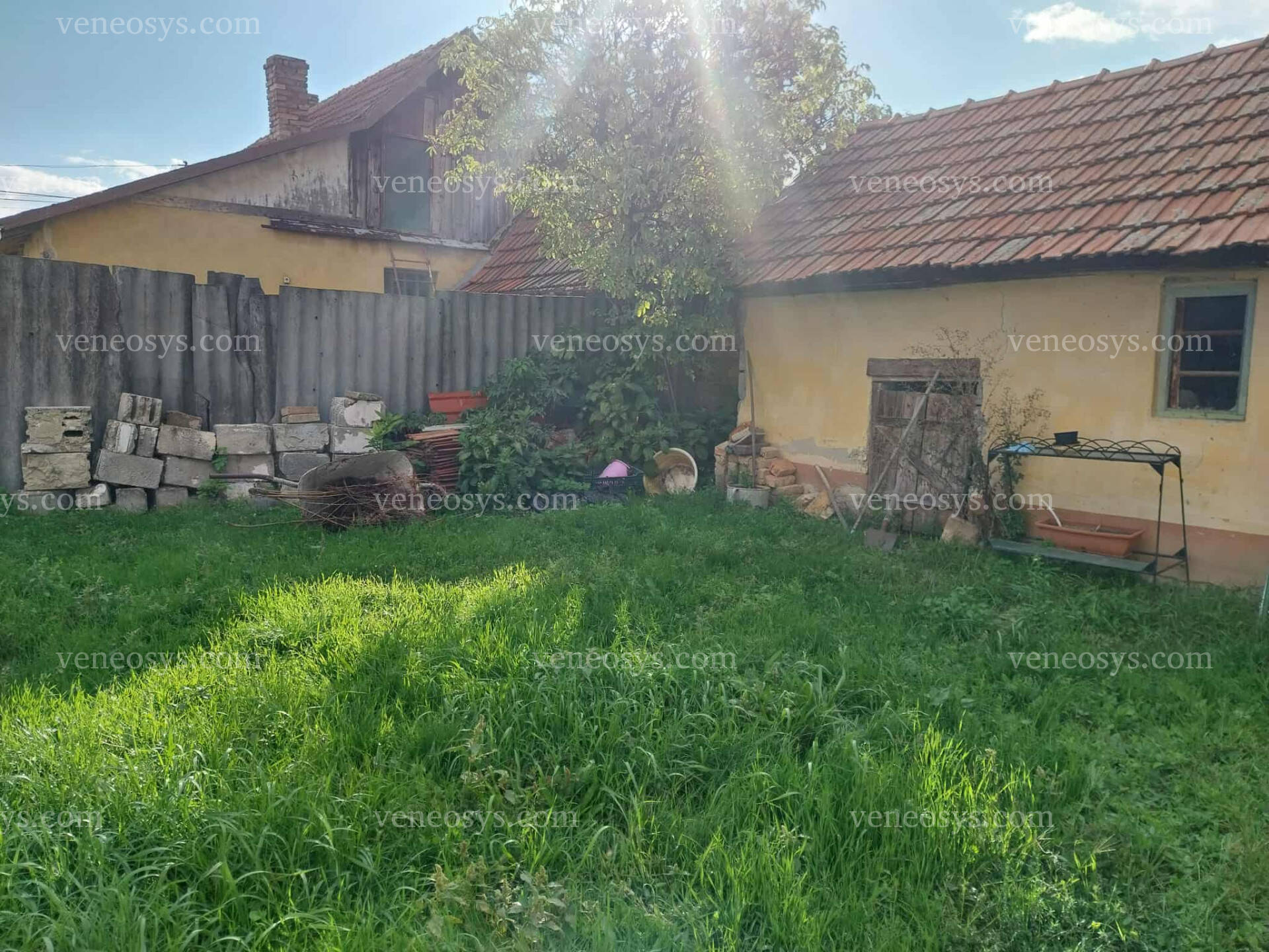 Kép 15