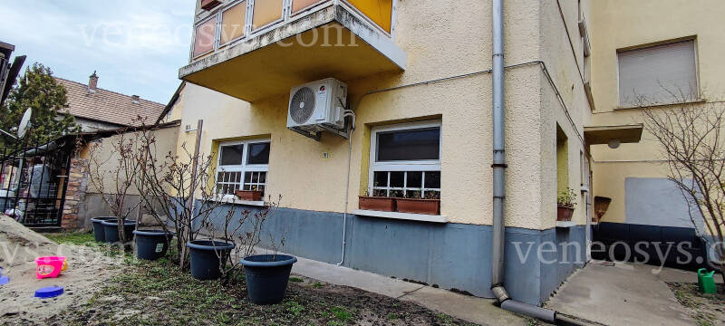 Kép 7
