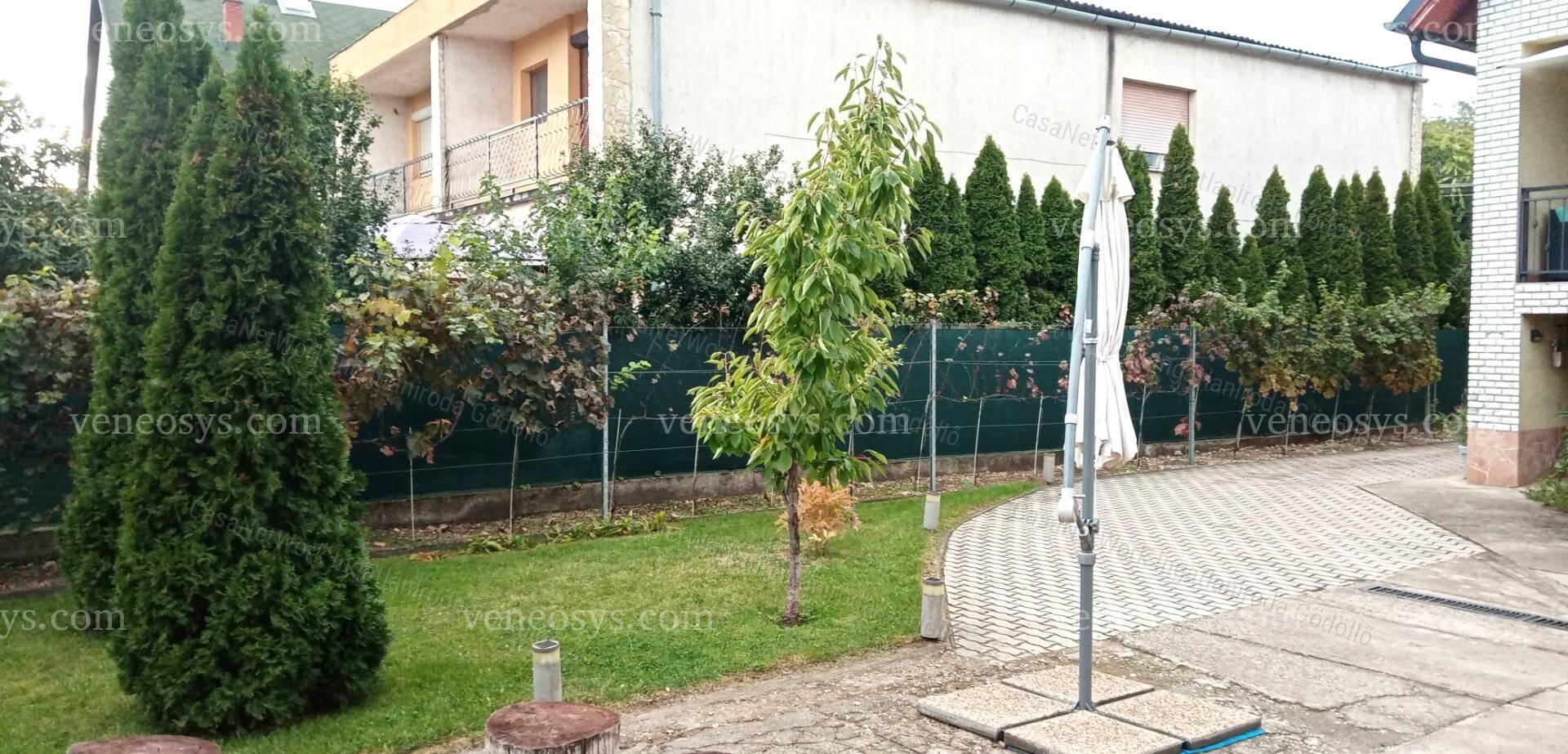 Kép 21