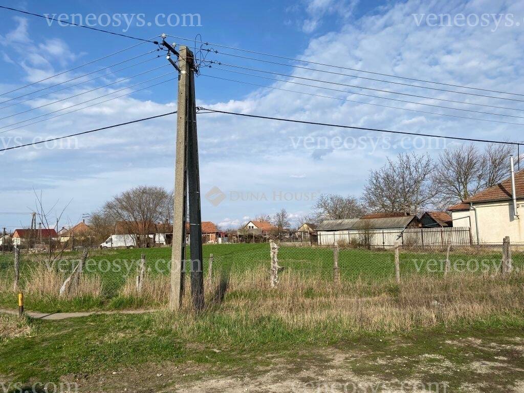 Kép 4