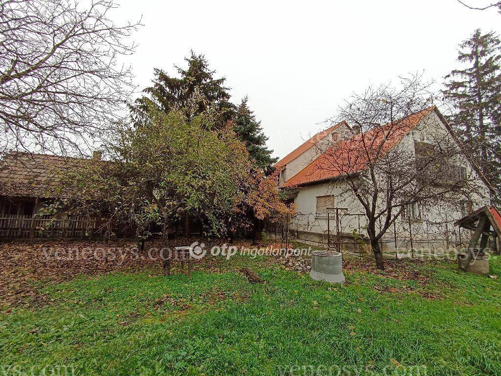 Kép 14