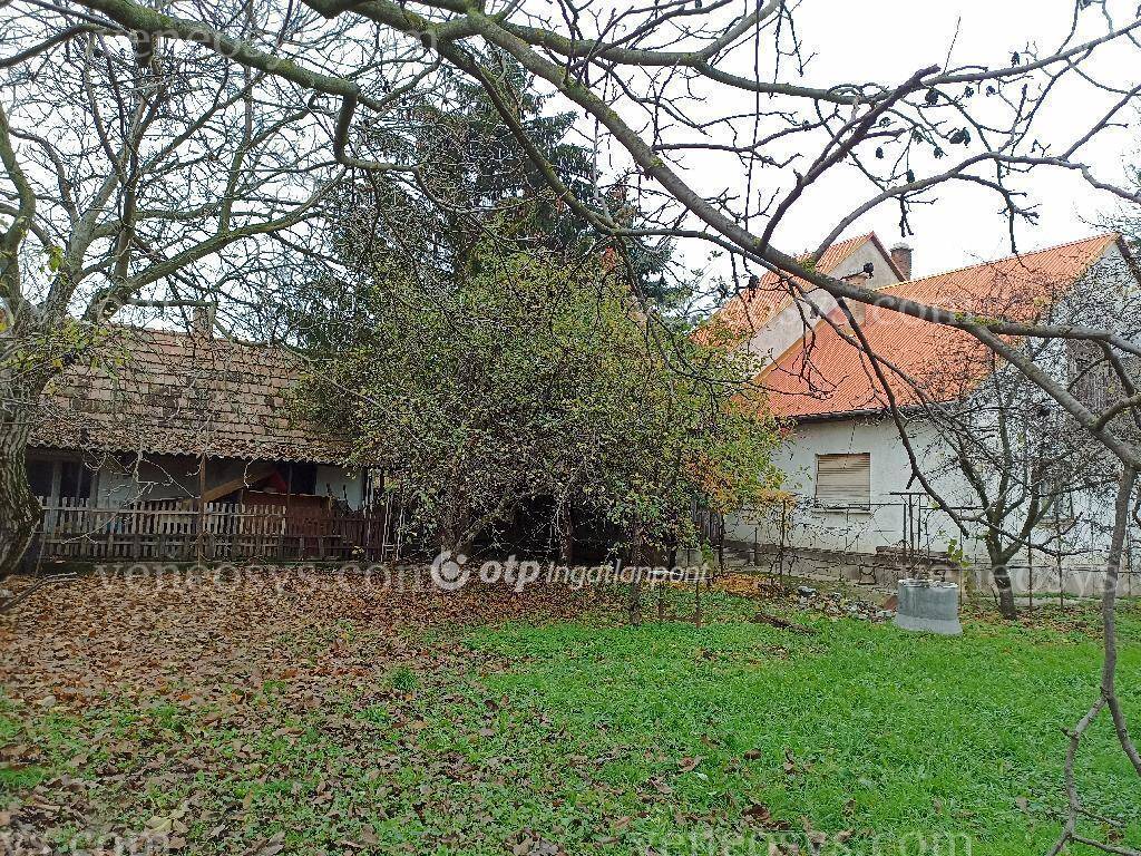 Kép 12