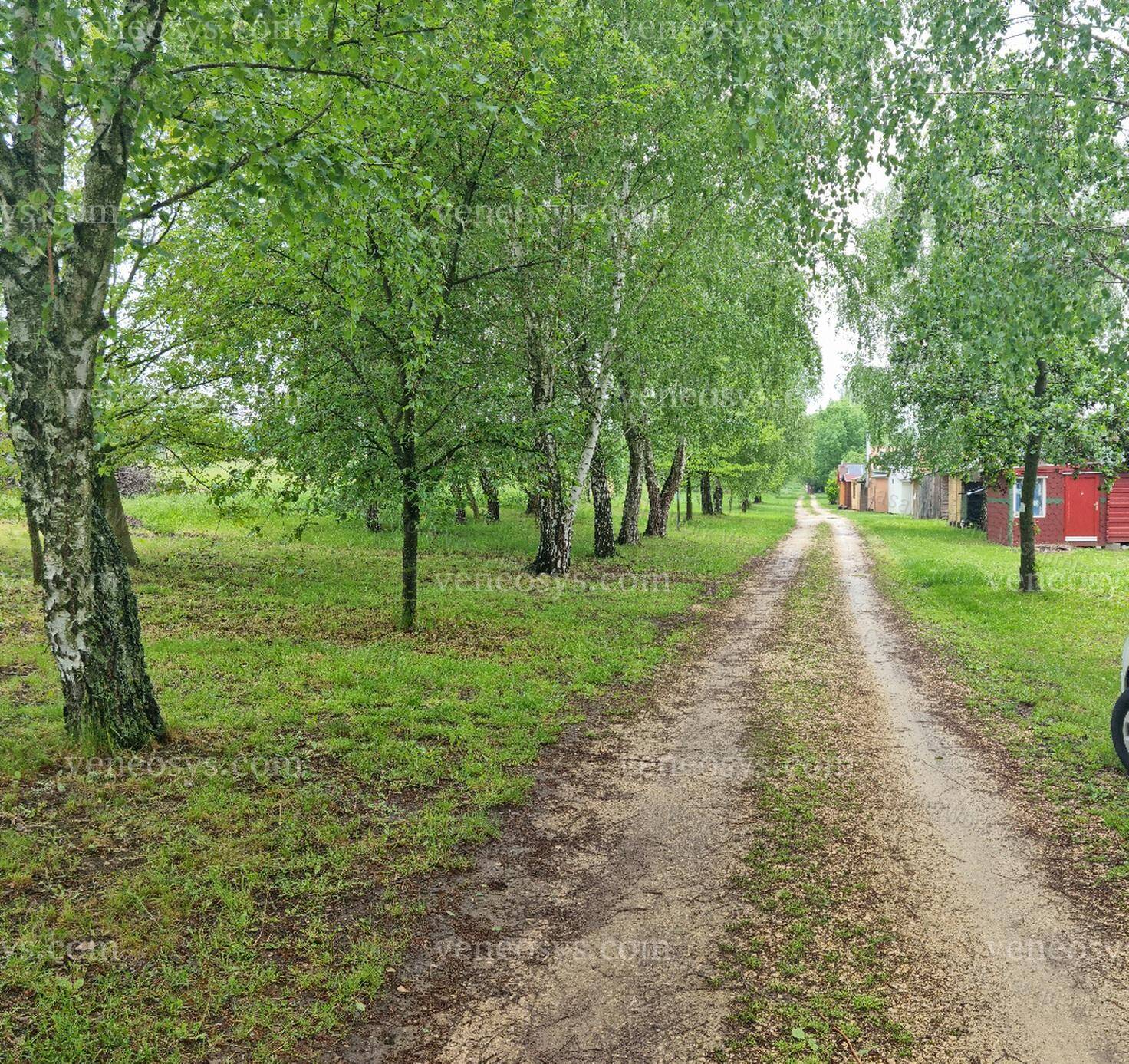Kép 6
