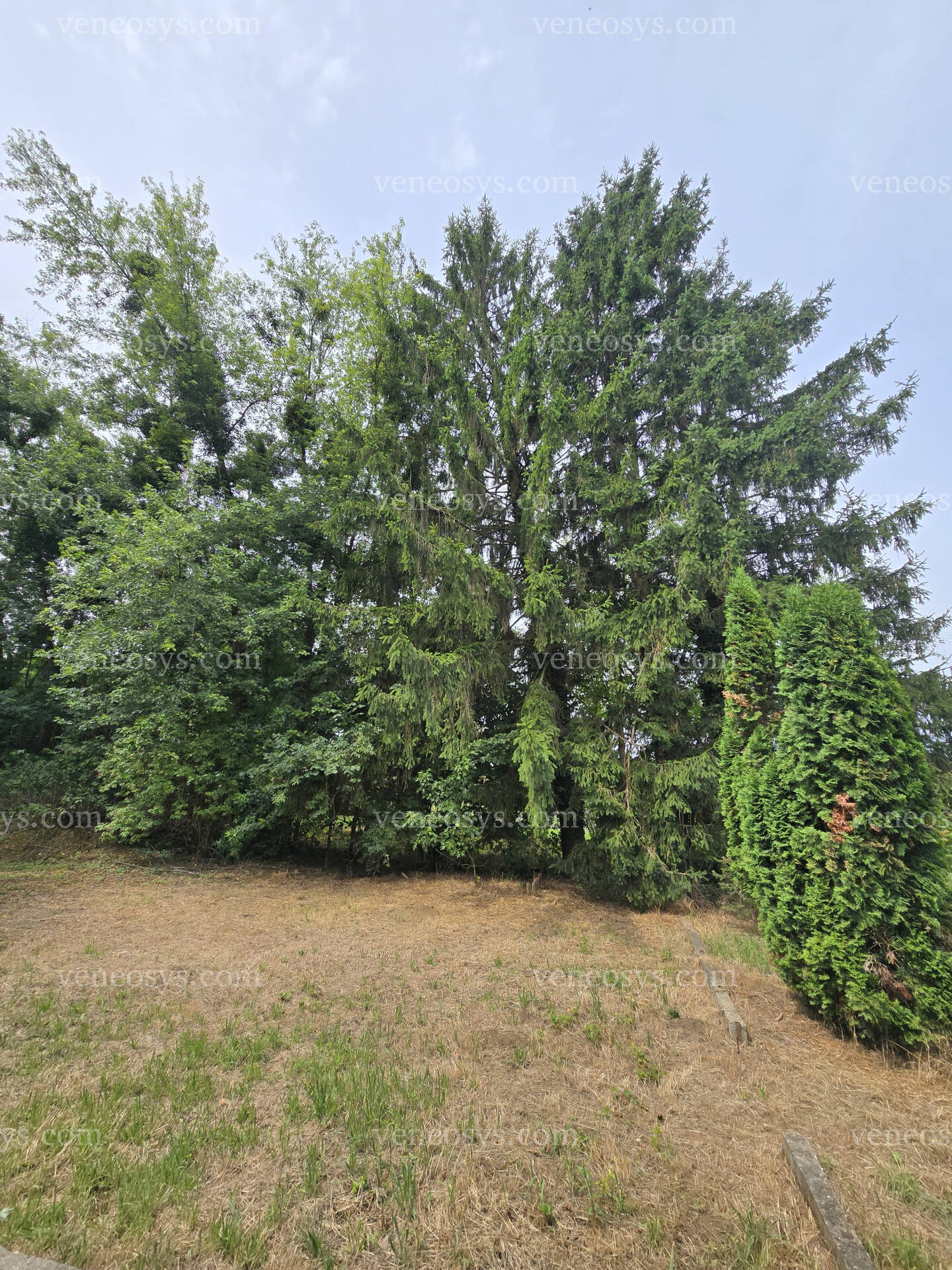 Kép 19