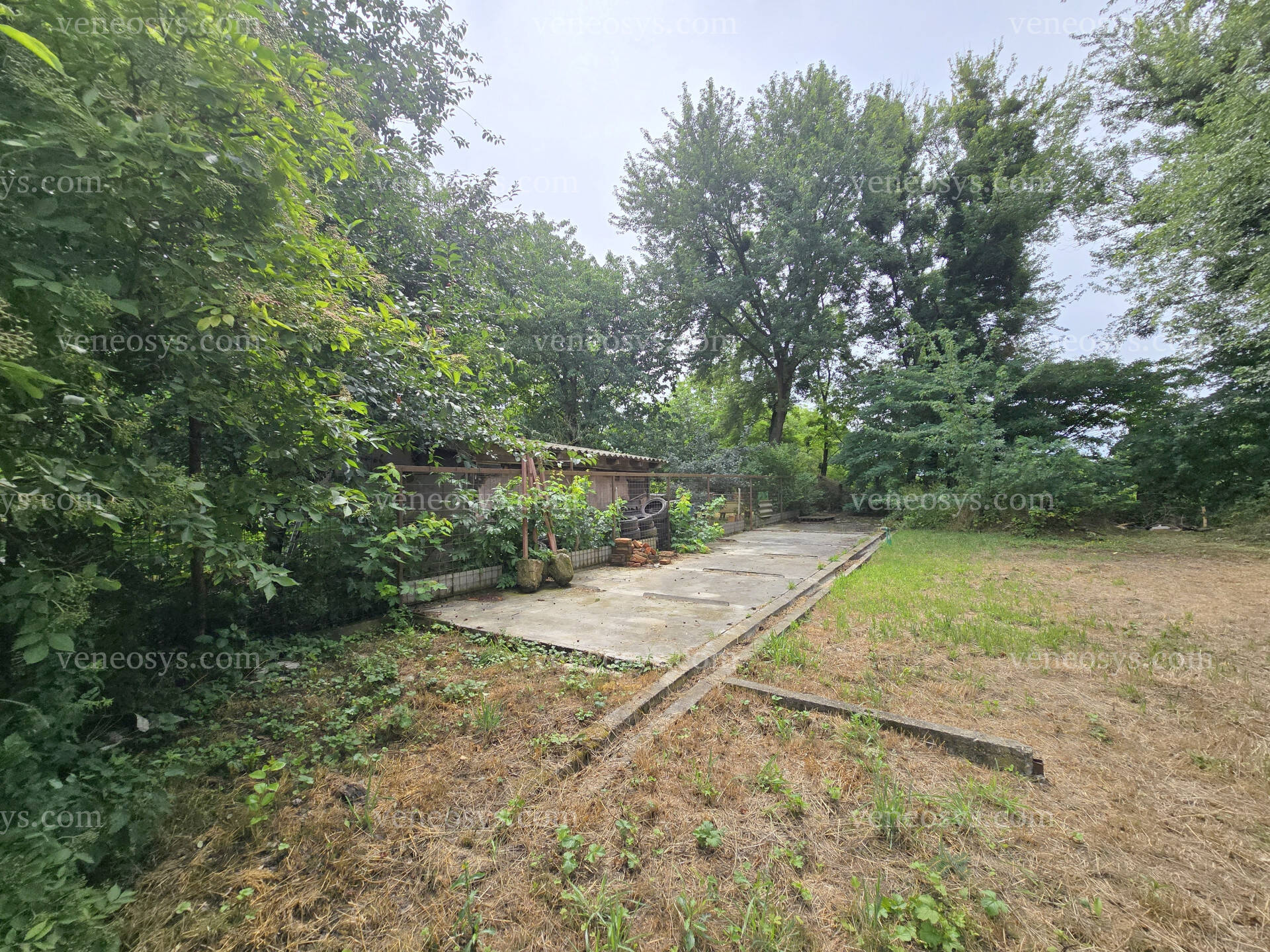 Kép 20