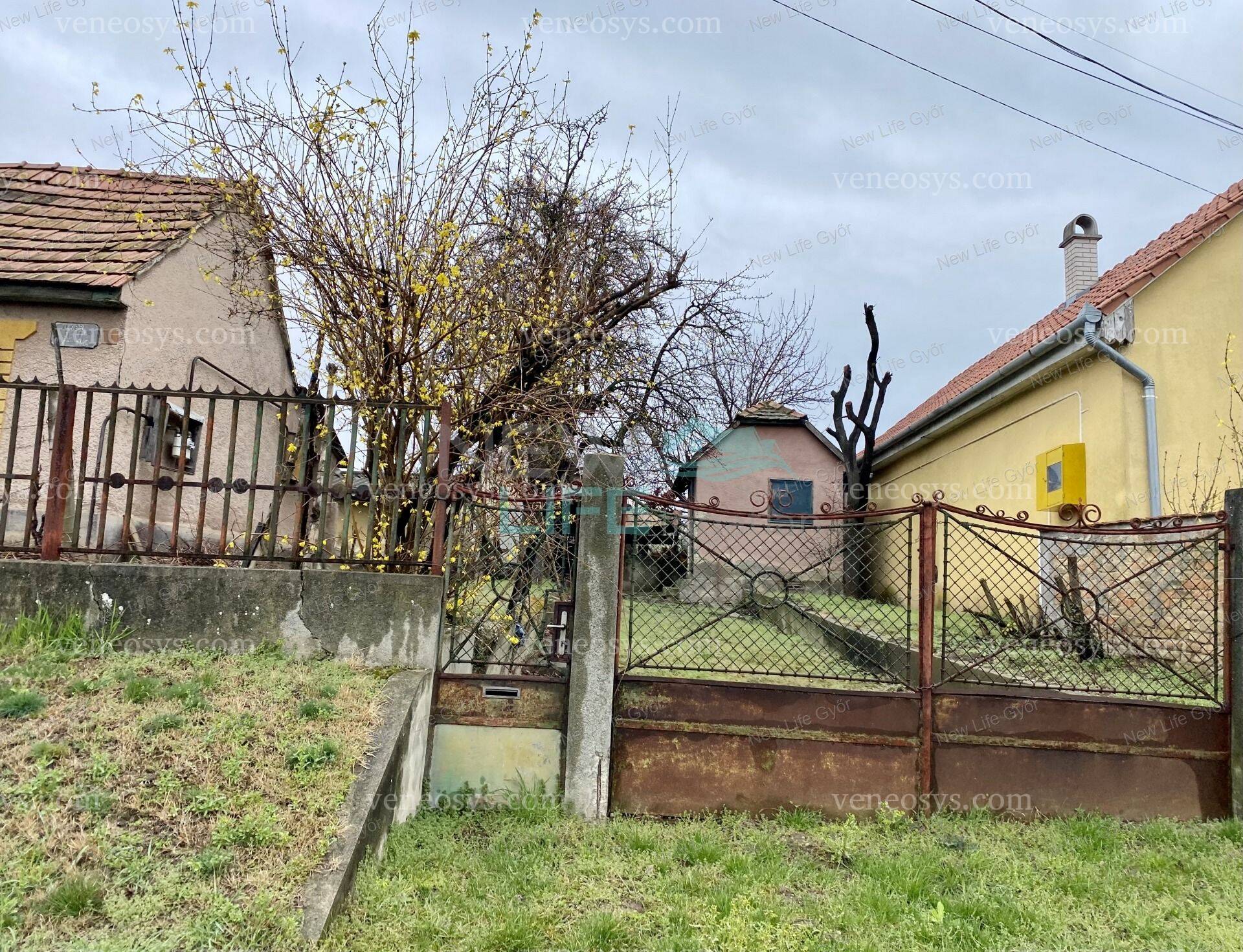 Kép 3