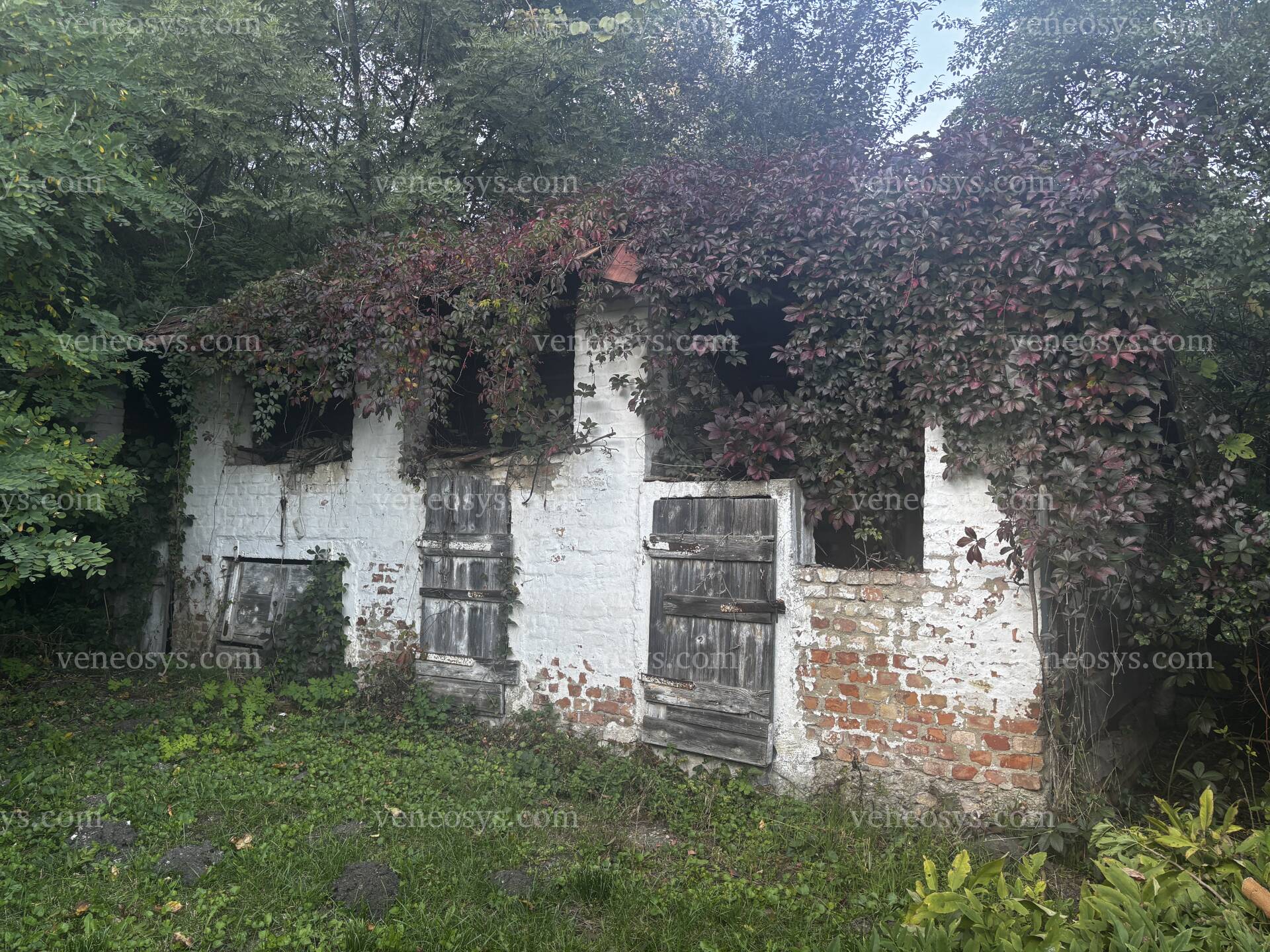 Kép 10