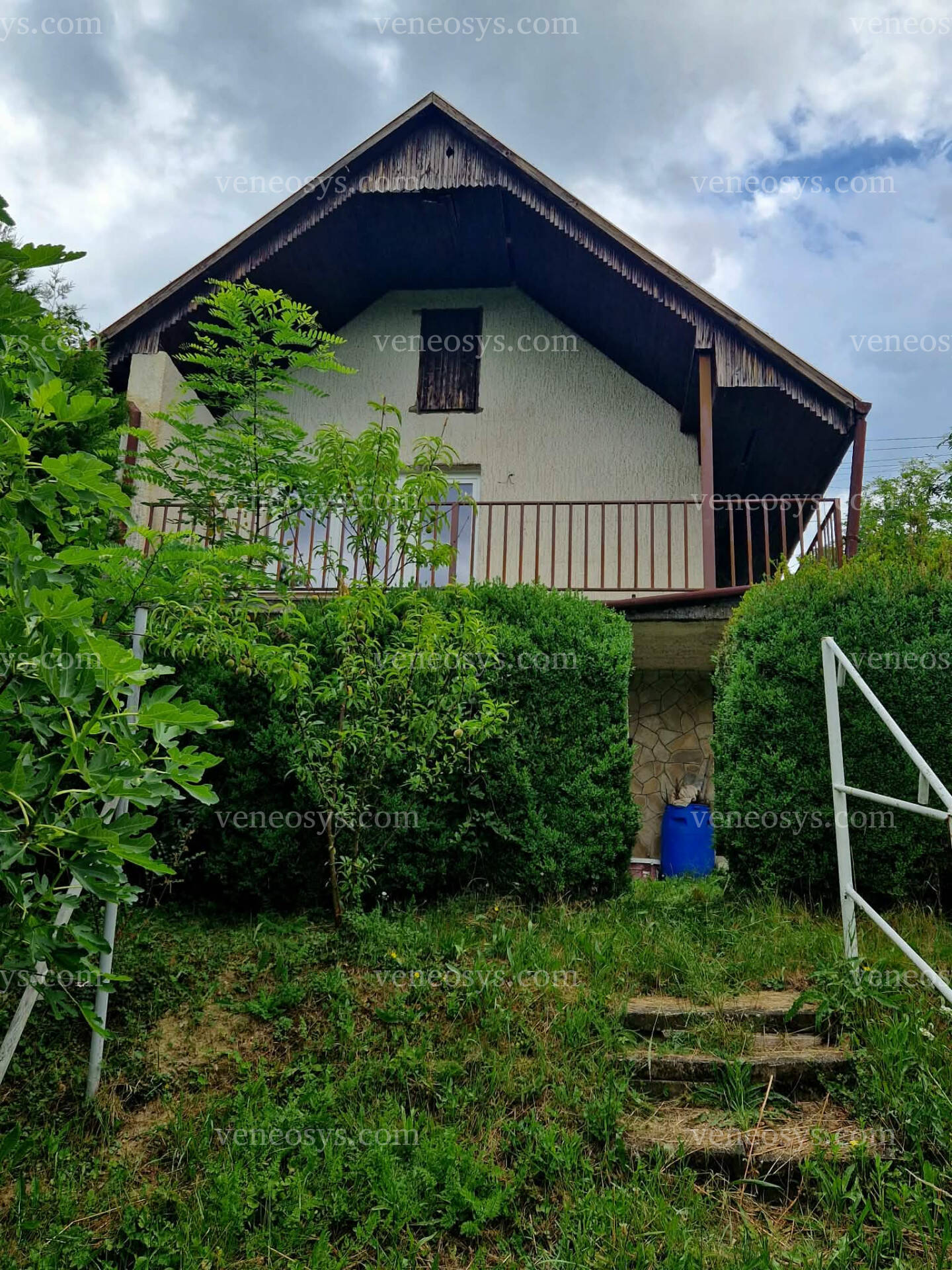 Kép 5