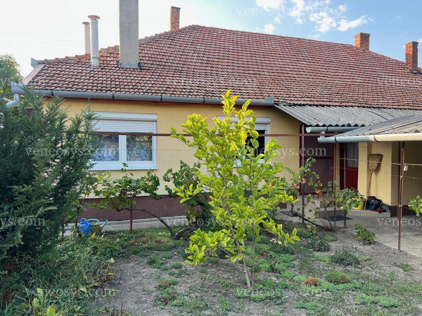 Kép 9