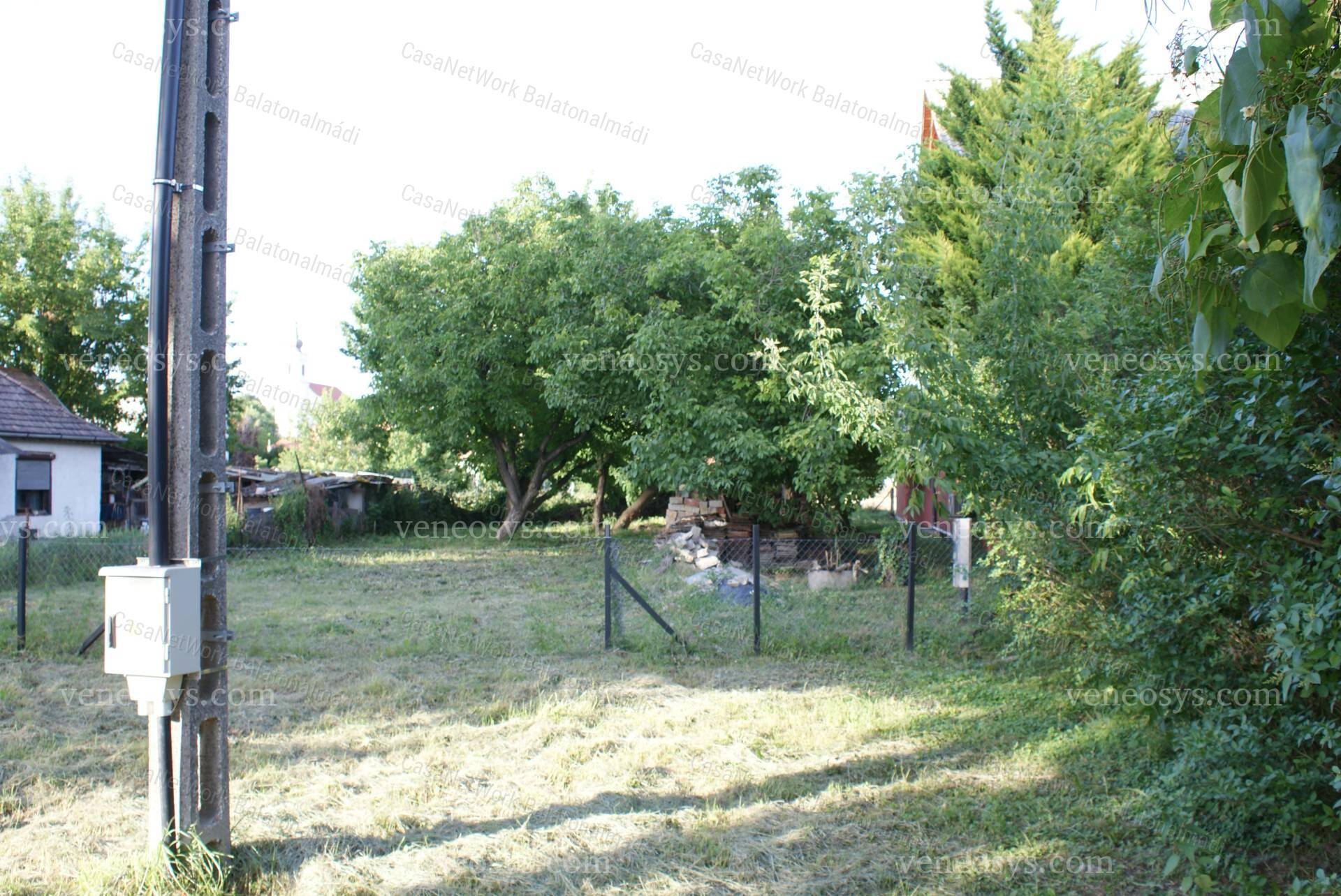 Kép 4