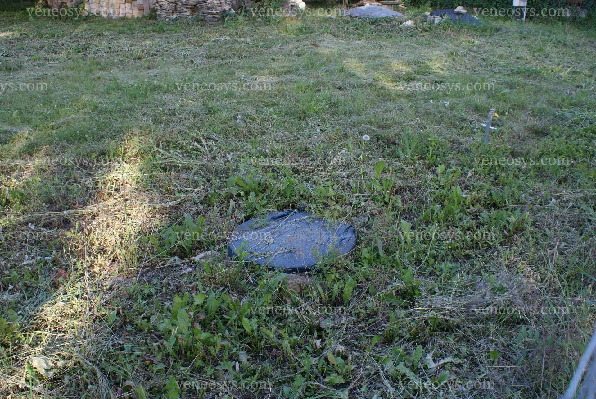 Kép 5