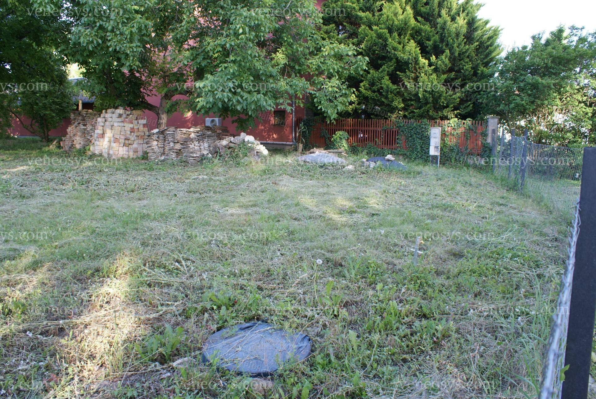 Kép 3