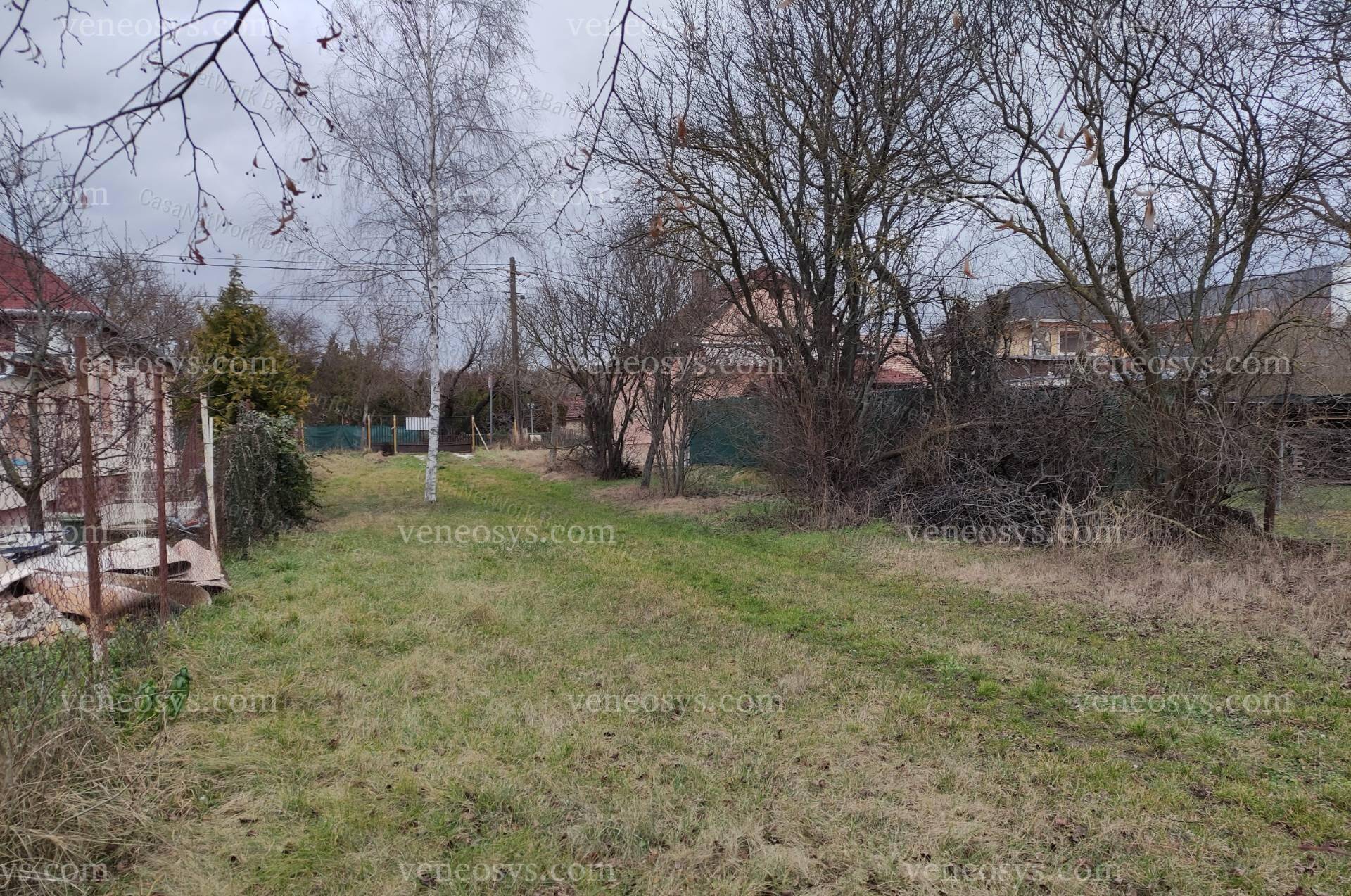 Kép 4