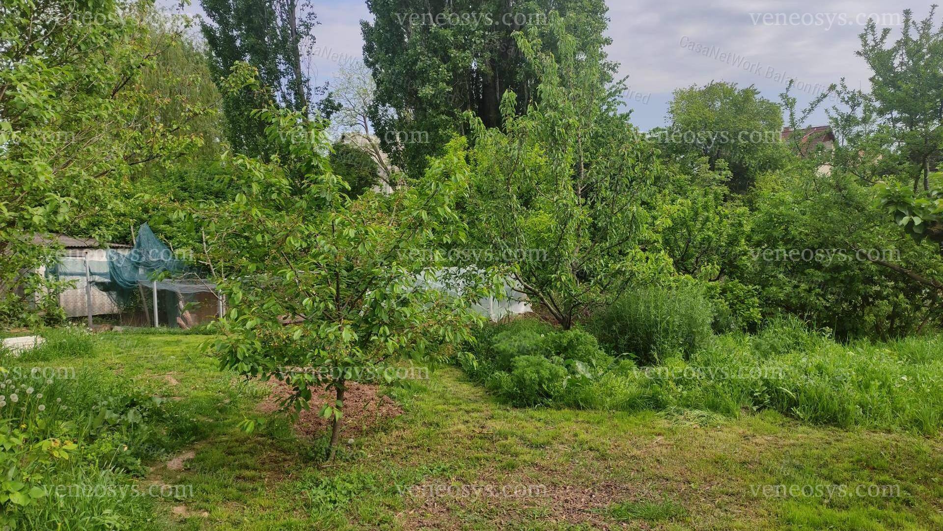 Kép 18