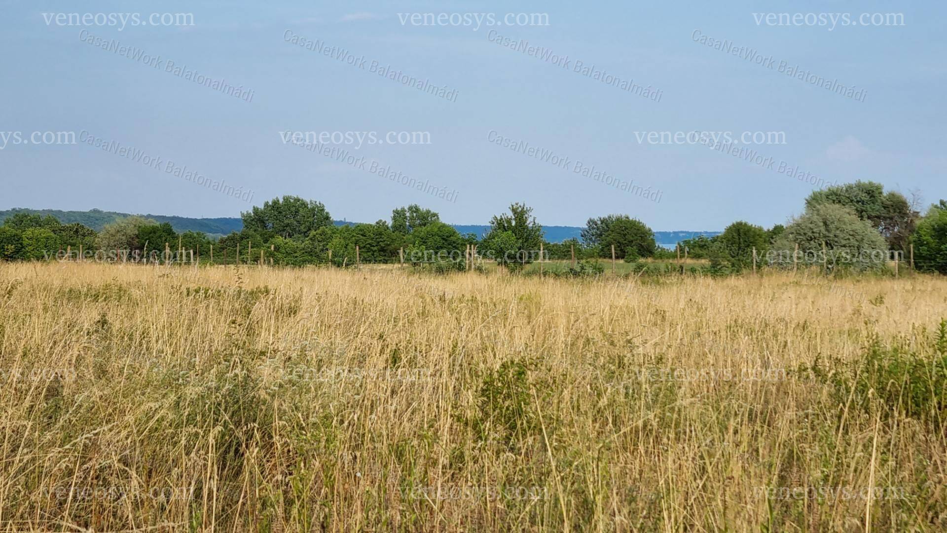 Kép 7