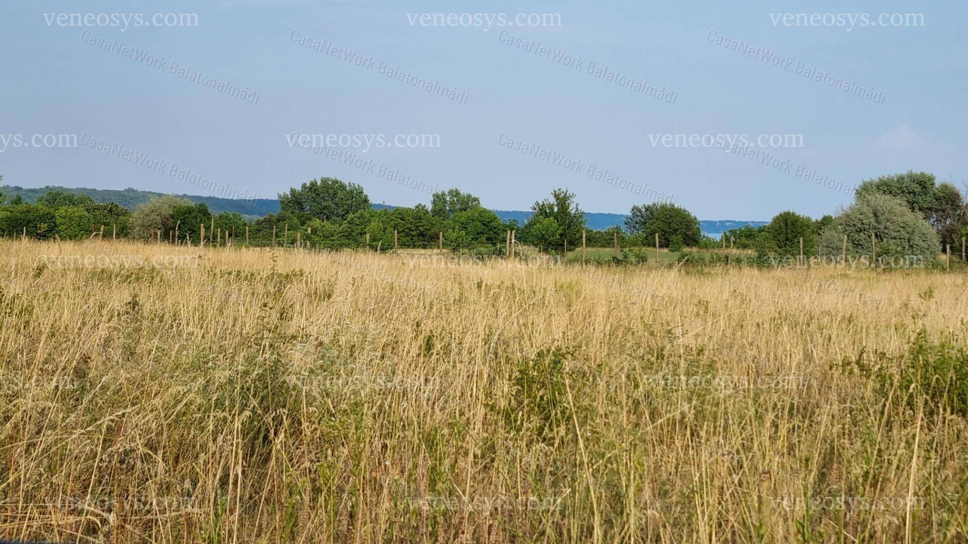 Kép 4