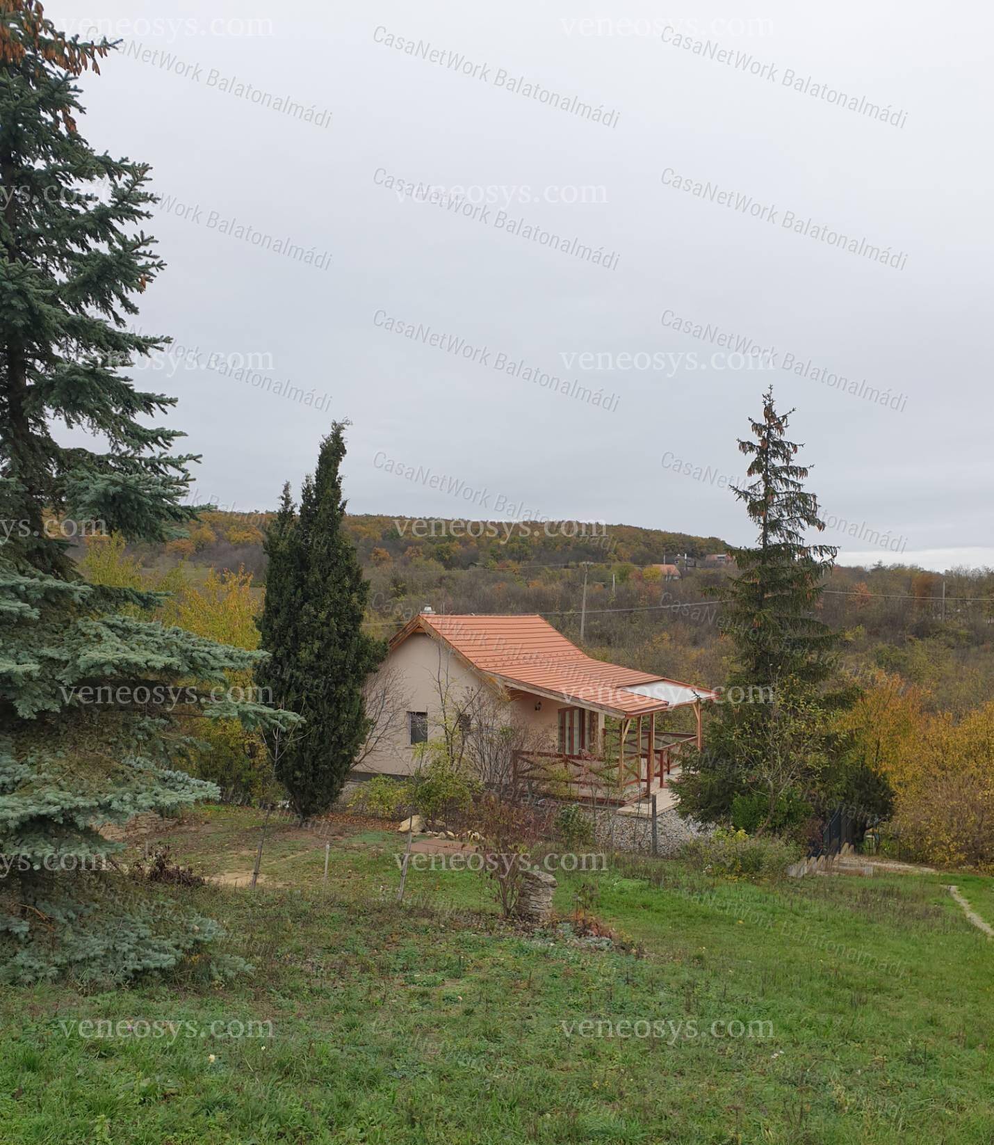 Kép 4