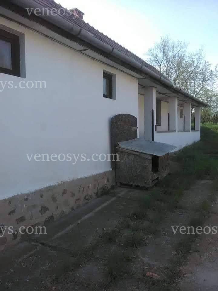 Kép 17
