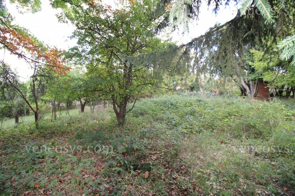 Kép 6