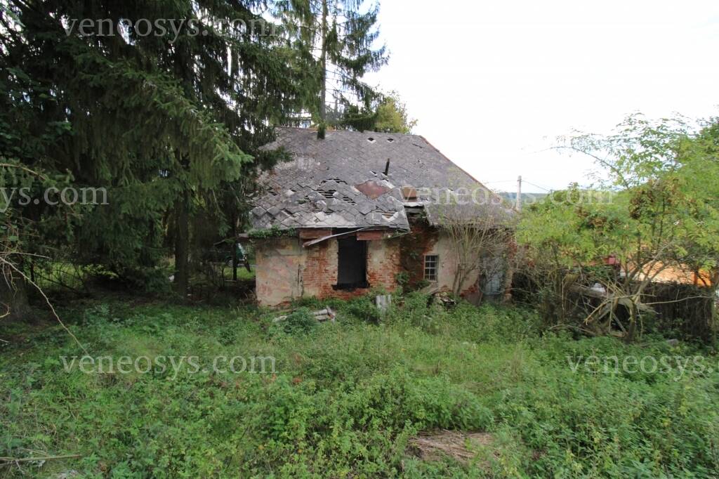 Kép 15