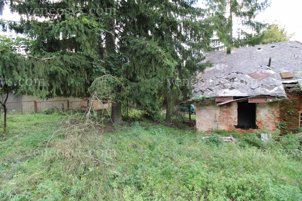 Kép 14