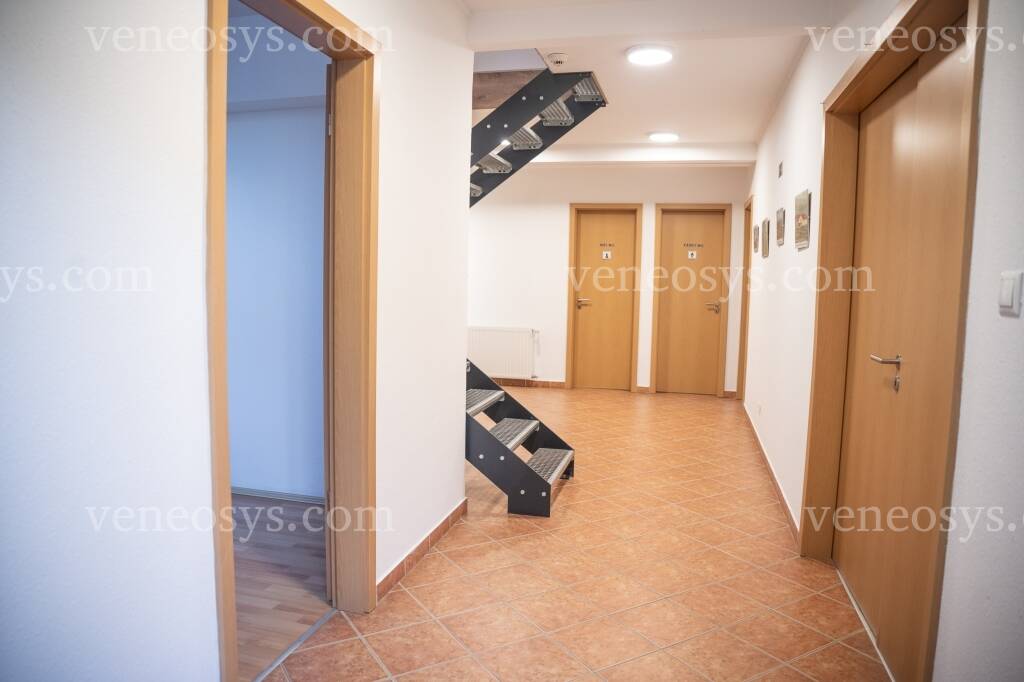Kép 11