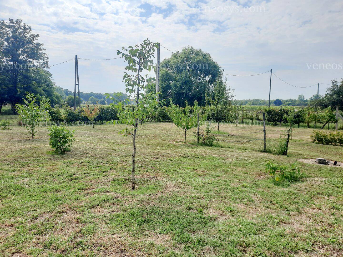 Kép 12