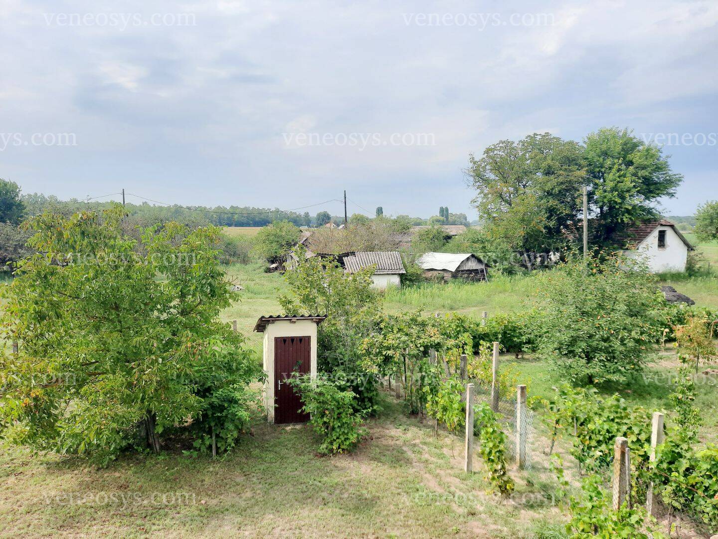 Kép 13