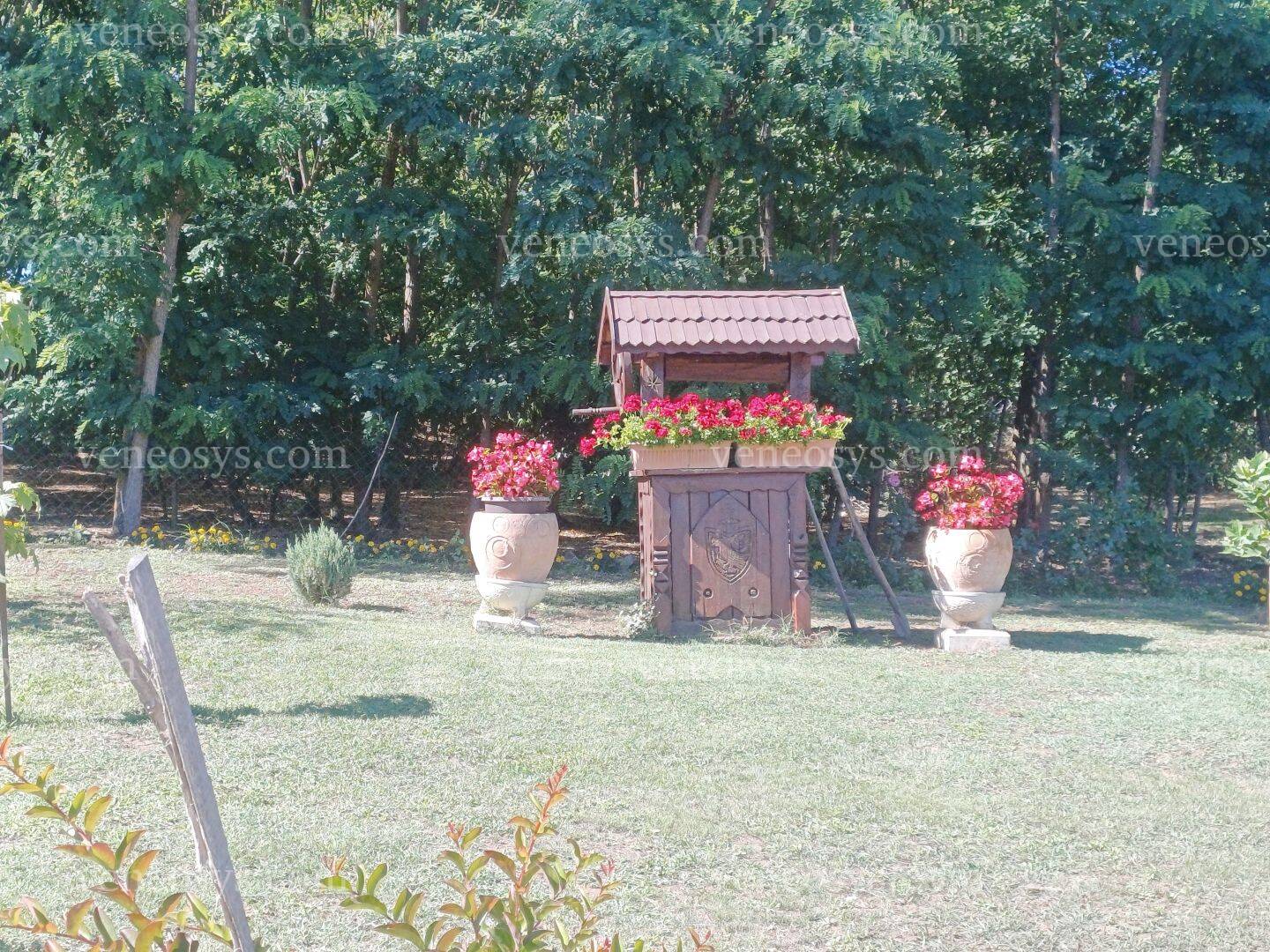 Kép 14