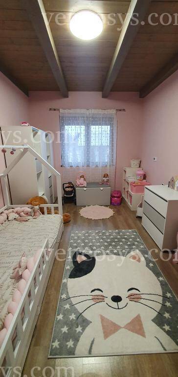 Kép 5