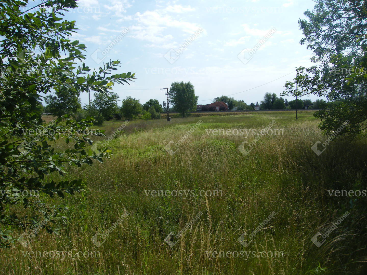 Kép 14