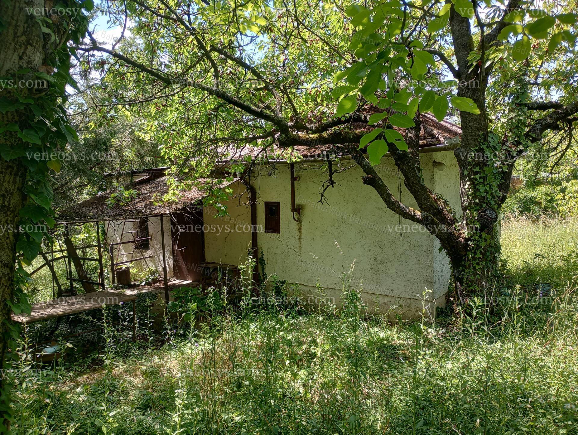 Kép 3