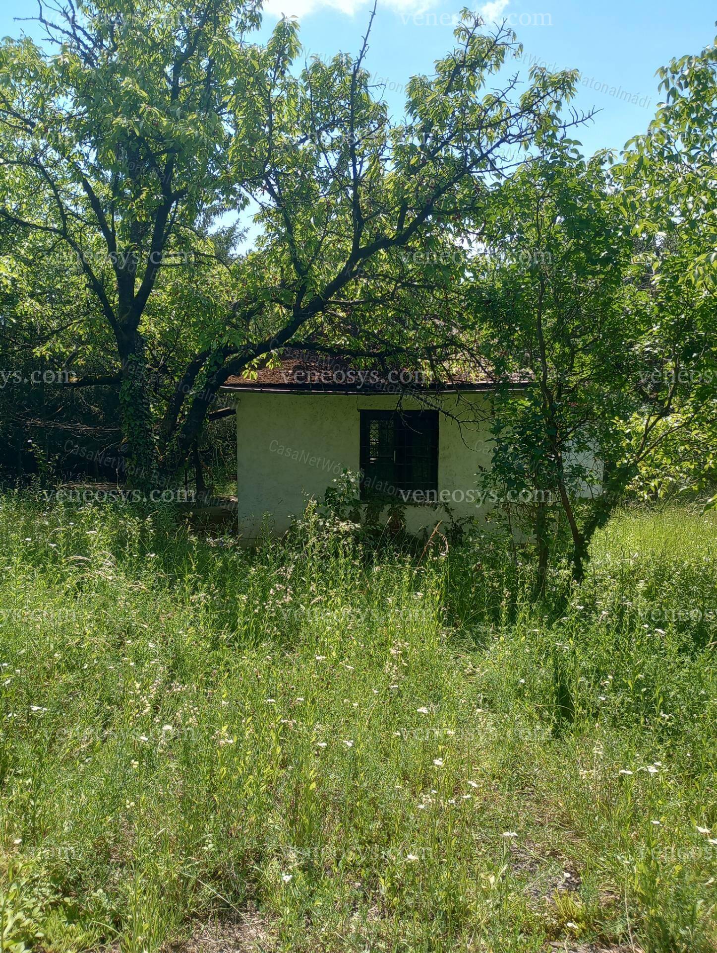 Kép 2