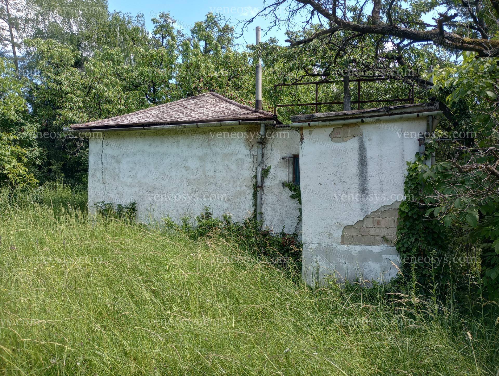 Kép 4
