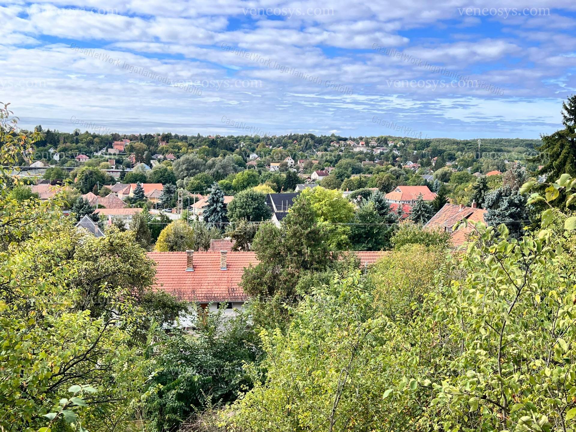 Kép 7