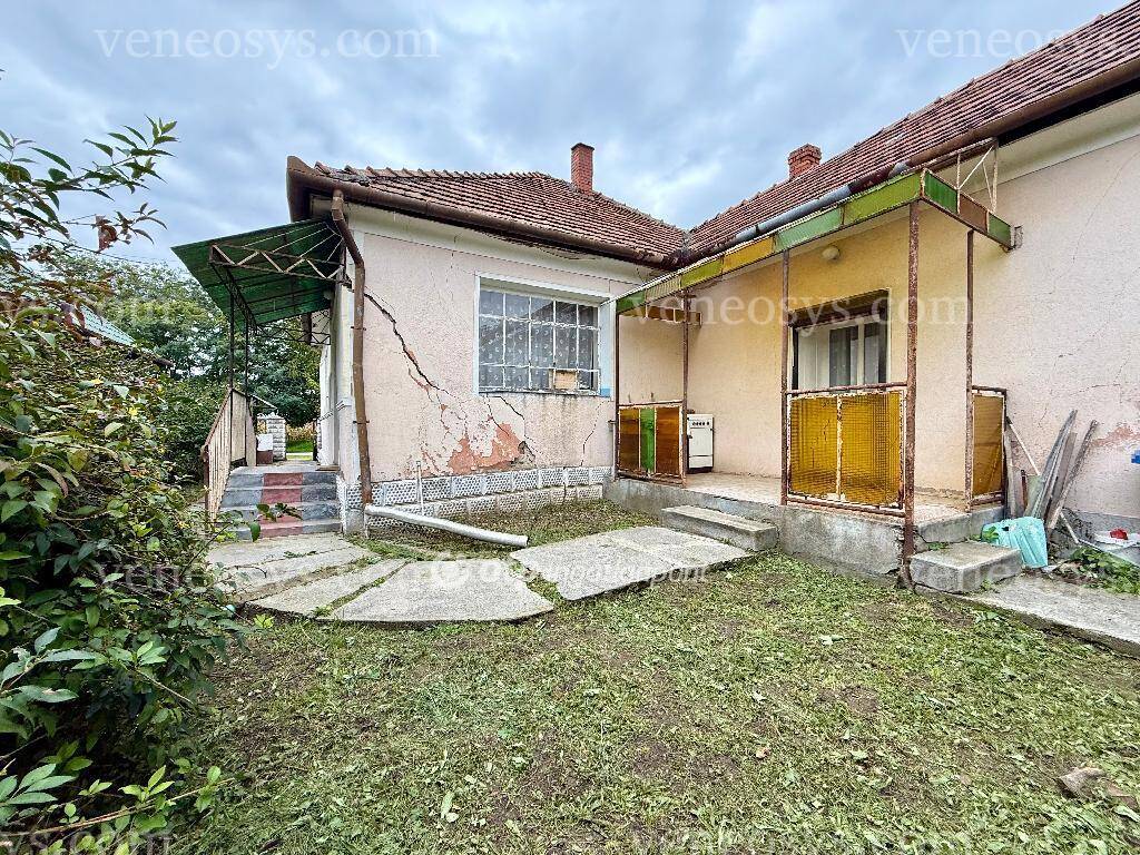 Kép 10